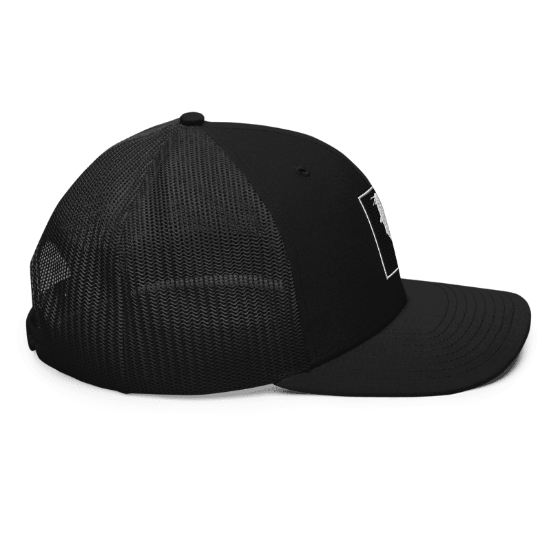 Simple KATFISH GREEN (Snapback)
