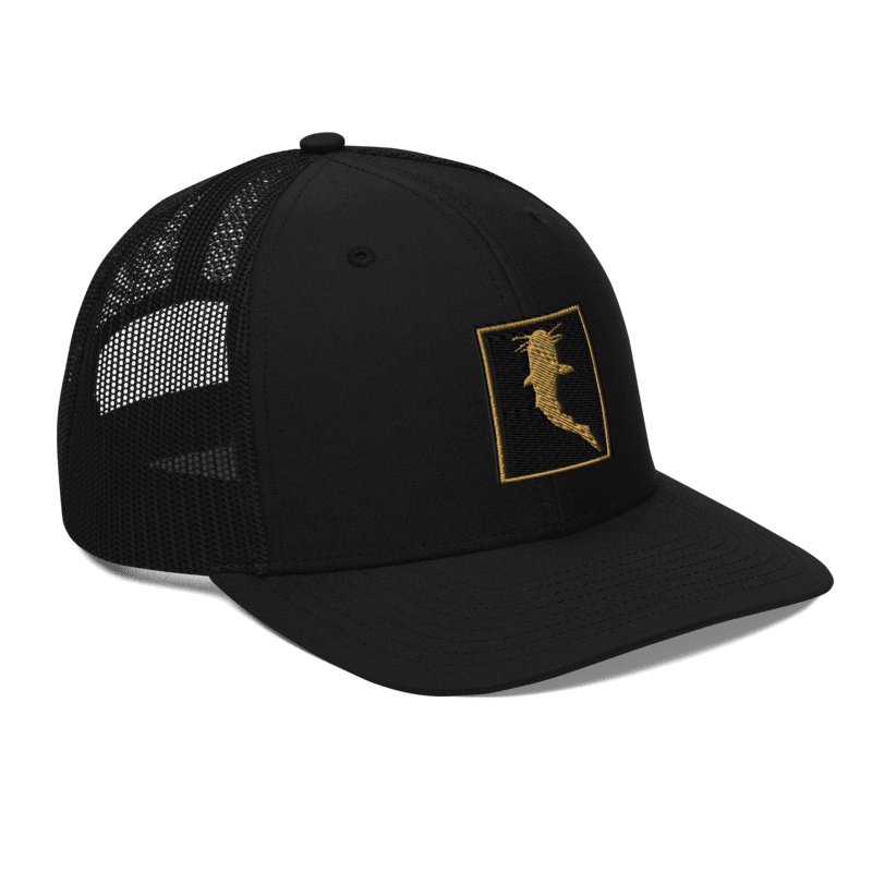 Simple KATFISH GOLD (Snapback)