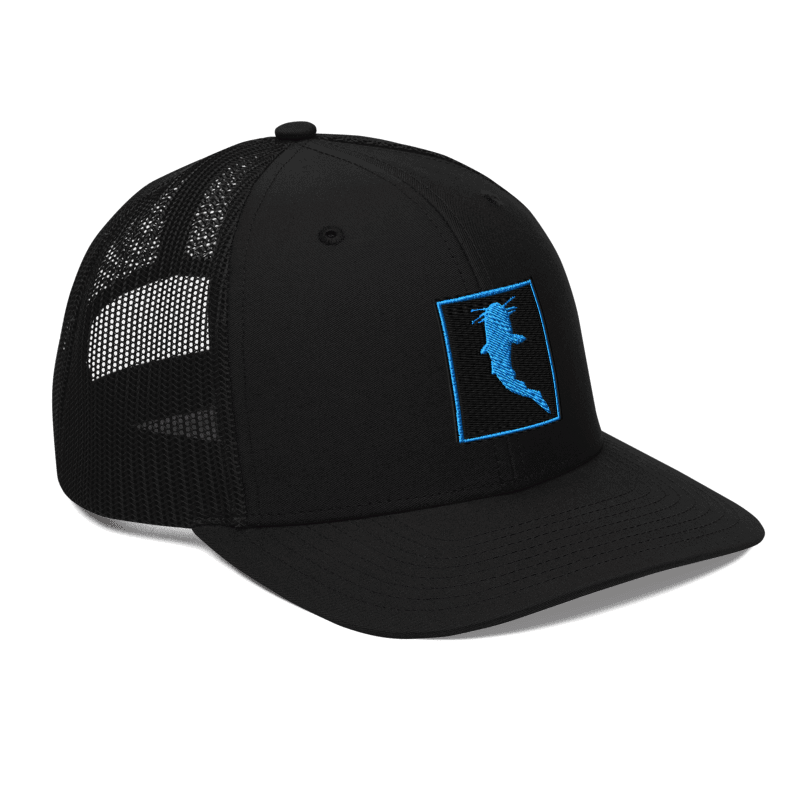 Simple KATFISH CAR. BLUE (Snapback)