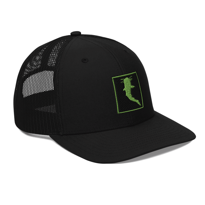 Simple KATFISH GREEN (Snapback)