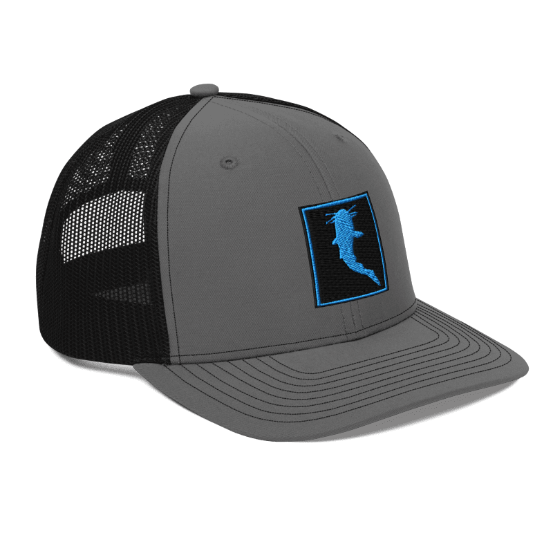 Simple KATFISH CAR. BLUE (Snapback)