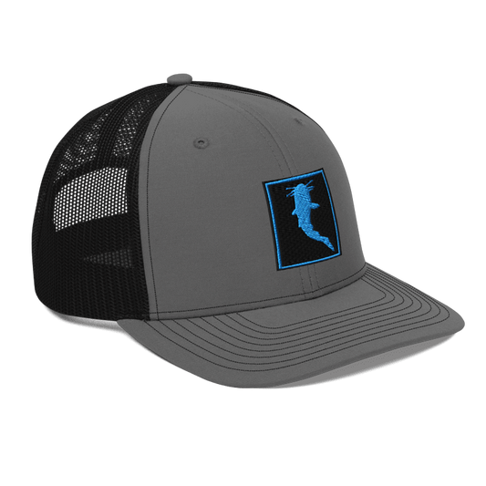 Simple KATFISH CAR. BLUE (Snapback)