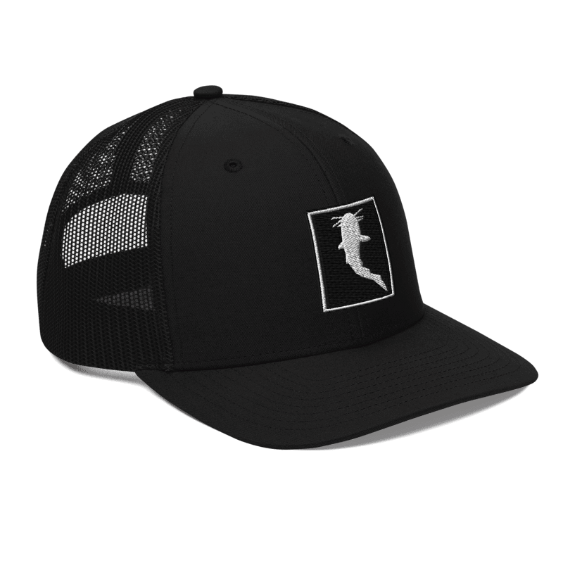 Simple Embroidered BnW (Snapback)