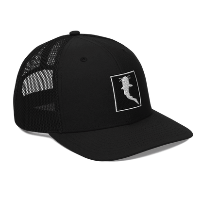 Simple Embroidered BnW (Snapback)