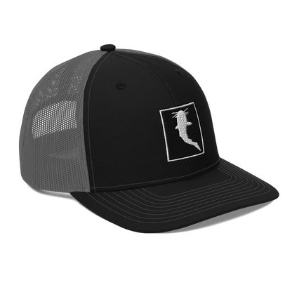 Simple Embroidered BnW (Snapback)