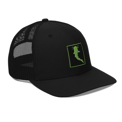 Simple KATFISH GREEN (Snapback)