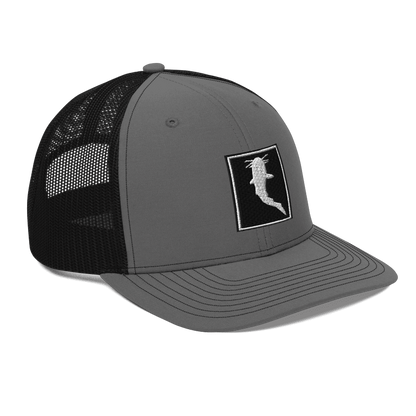 Simple Embroidered BnW (Snapback)